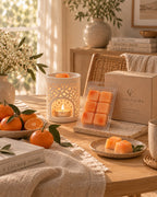 Tableta de wax melts Mandarina & Champán de Casa Calma en un salón