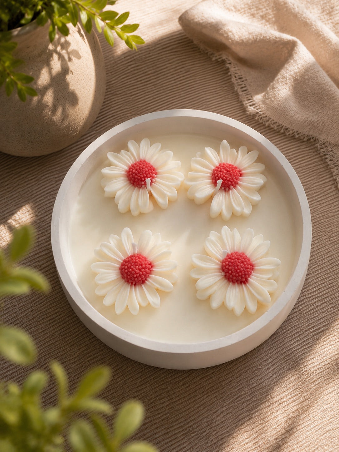 Vista superior de vela aromática XL con cuatro flores de margarita en soja – Casa Calma