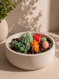 Vela aromática XL con suculentas de cera de colores en bol de resina blanco – Casa Calma