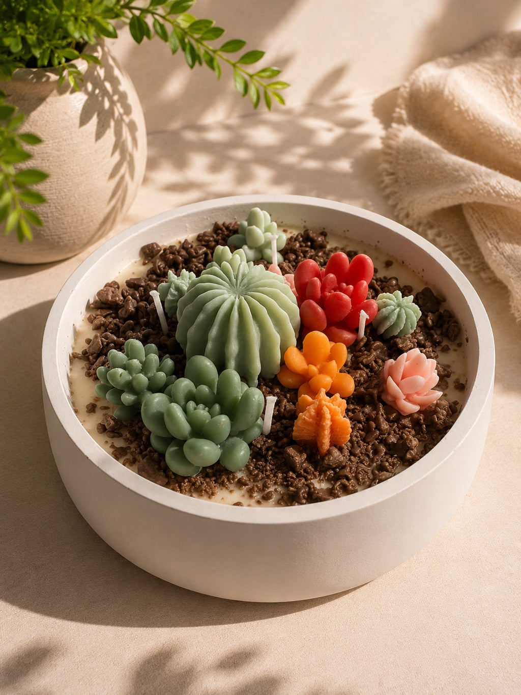 Vista superior de vela aromática XL con suculentas y cactus de cera vegetal – Casa Calma