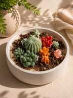 Vista superior de vela aromática XL con suculentas y cactus de cera vegetal – Casa Calma